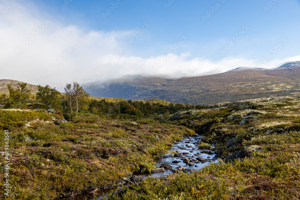 Wanderung im Dovrefjell Nationalpark, Norwegen 15 Wanderung im Dovrefjell Nationalpark, Norwegen 15