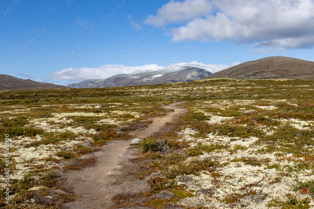Wanderung im Dovrefjell Nationalpark, Norwegen 2 Wanderung im Dovrefjell Nationalpark, Norwegen 2