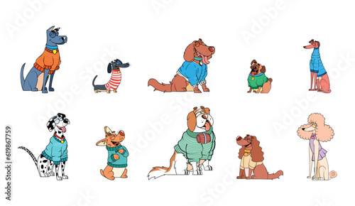 Set Vector Cartoon Dogs With Sweater Character isolated illustration