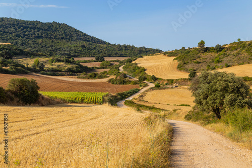 Rural road in the Spanish