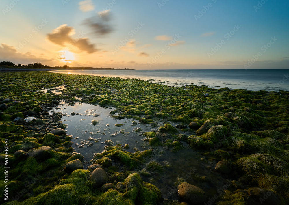 Blick in die untergehende Sonne am Strand von Ulvshale auf der dänischen Ostseeinsel Møn, im Vordergrund mit Moos und Algen bewachsene Steine und eine Wasserpfütze Blick in die untergehende Sonne am Strand von Ulvshale auf der dänischen Ostseeinsel Møn, im Vordergrund mit Moos und Algen bewachsene Steine und eine Wasserpfütze