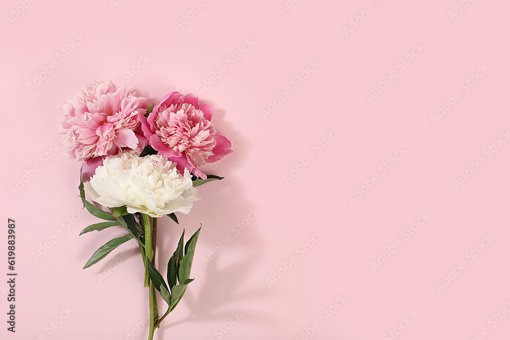 Beautiful peonies flowers on light background with place for text,minimal holiday concept with flowers,greeting card for wedding,birthday,mother's day,selective focus