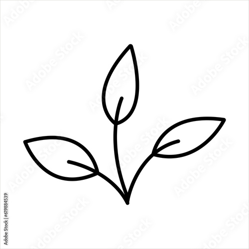 Tea leaf icon, tea tree icon vector, three leaf of tea icon, tea leaf outline icon isolated on white background, tea leaves icon.