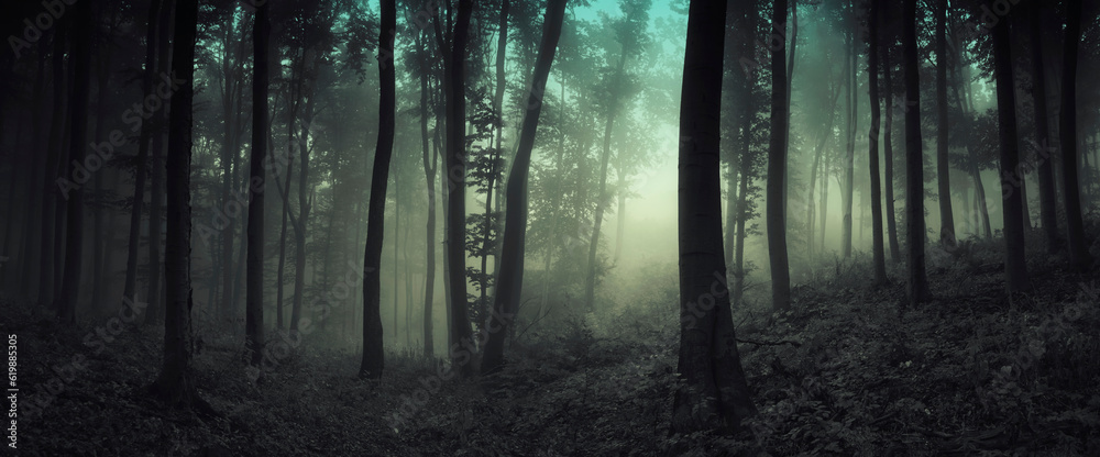 Naklejka premium dark forest panorama with trees in fog