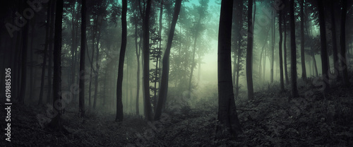 dark forest panorama with trees in fog