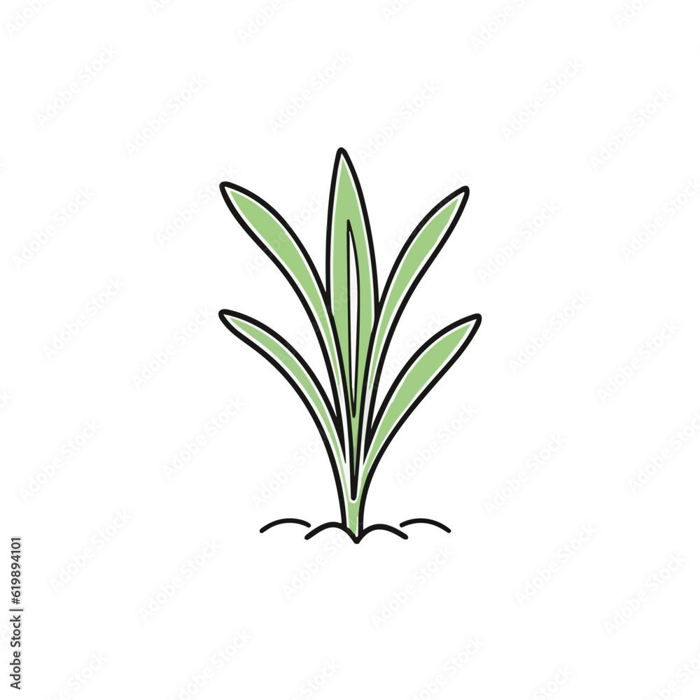 Fototapeta premium Premium Aloe Vera Logo Vector Design for Health and Beauty Brands
