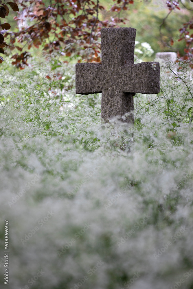 Stone cross standing in a mass of cow parsley in Goring chuchyard, Goring, Oxfordshire, England, United Kingdom, Europe