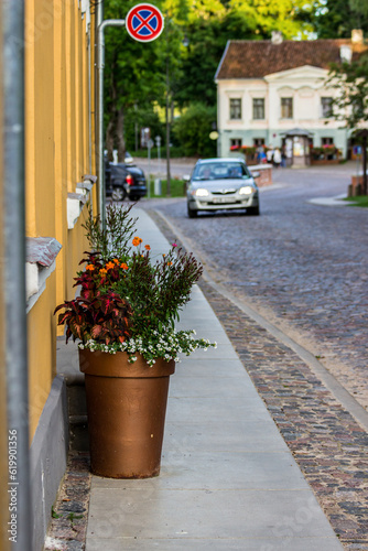 A pot of different flowrs in the city by the street.