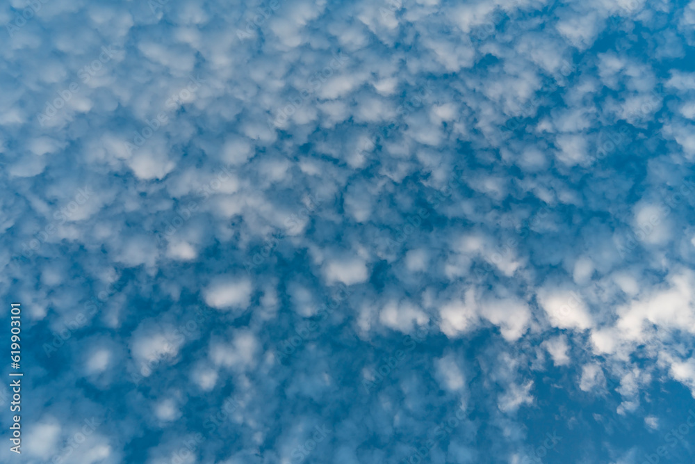 Nubes cirrocúmulos