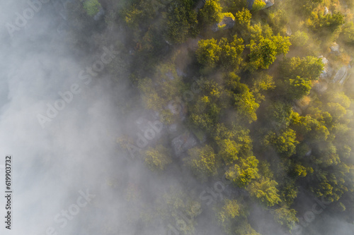 Niebla