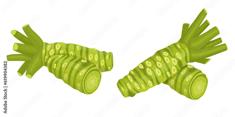 fresh wasabi root, raw wasabi for japanese foodWhole and half wasabi