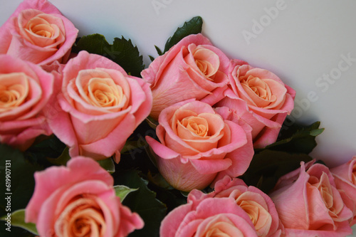 Rose flowers pink orange. Beautiful bouquet on a white background. © Елена Пантюхина