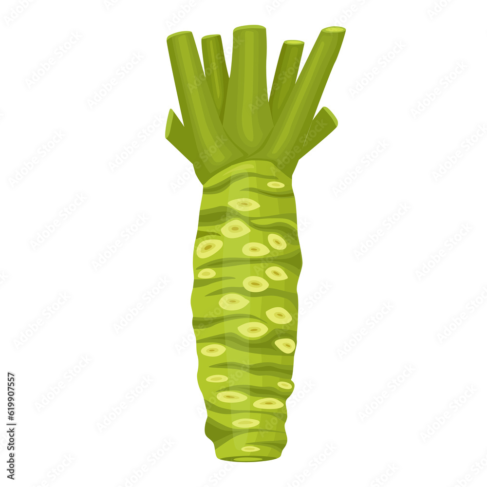 fresh wasabi root, raw wasabi for japanese foodWhole and half wasabi