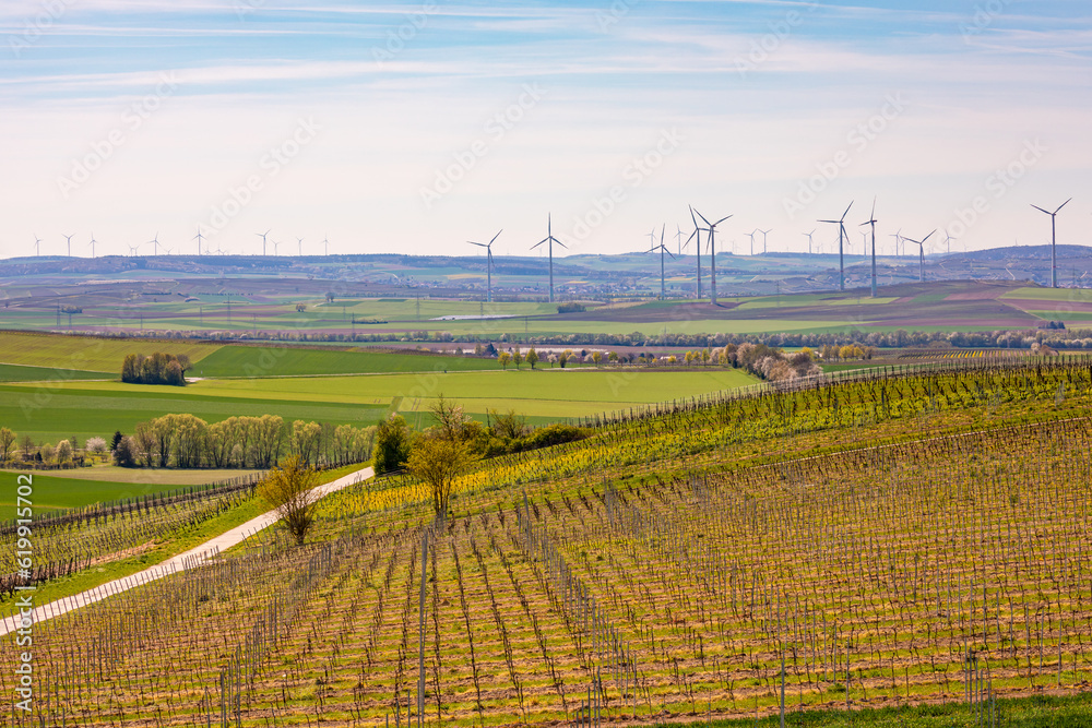 Landscape with vines and fields in front of countless wind turbines on the horizon