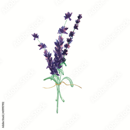bouquet of lavender