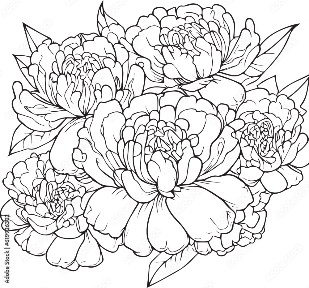 Bouquet of peony flower hand drawn pencil sketch, coloring page, and book for adults isolated on white background floral element tattooing, illustration ink art, blossom peony, spring collect. Bouquet of peony flower hand drawn pencil sketch, coloring page, and book for adults isolated on white background floral element tattooing, illustration ink art, blossom peony, spring collect.