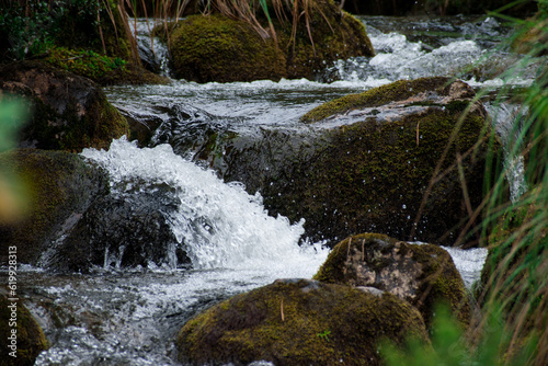 Stream in colombia paramo mountain