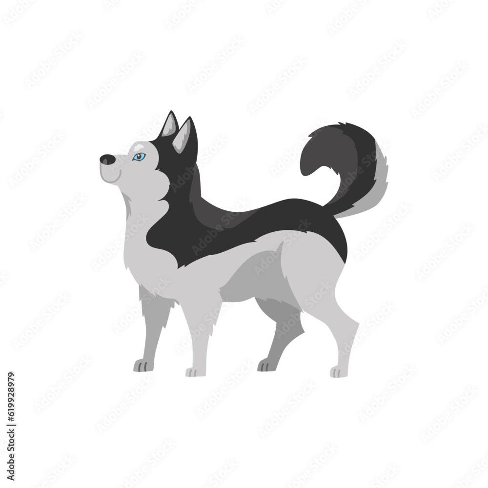 Smiling blue-eyed standing husky dog flat style, vector illustration