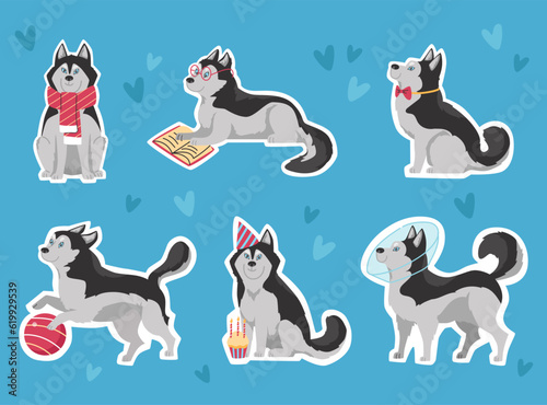 Siberian husky funny stickers set, cartoon flat vector illustration.