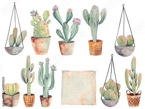 Set of watercolor cacti in a pots, hanging houseplants illustration, home cactuses clipart
