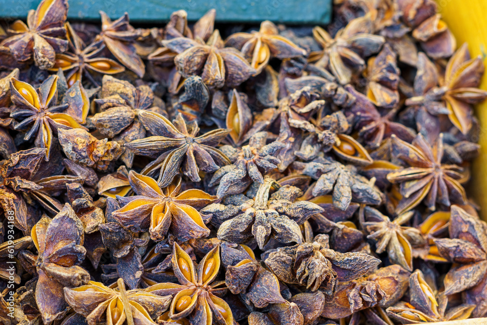 Illicium verum, commonly called star anise, is a spice obtained from the pericarp of the star-shaped fruit.