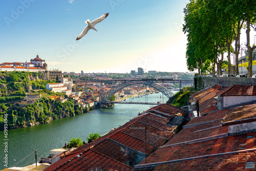 Beautiful colorful cityscape of Porto Portugal next to Duero river in Ribeira with dom luiz and a seagull photo