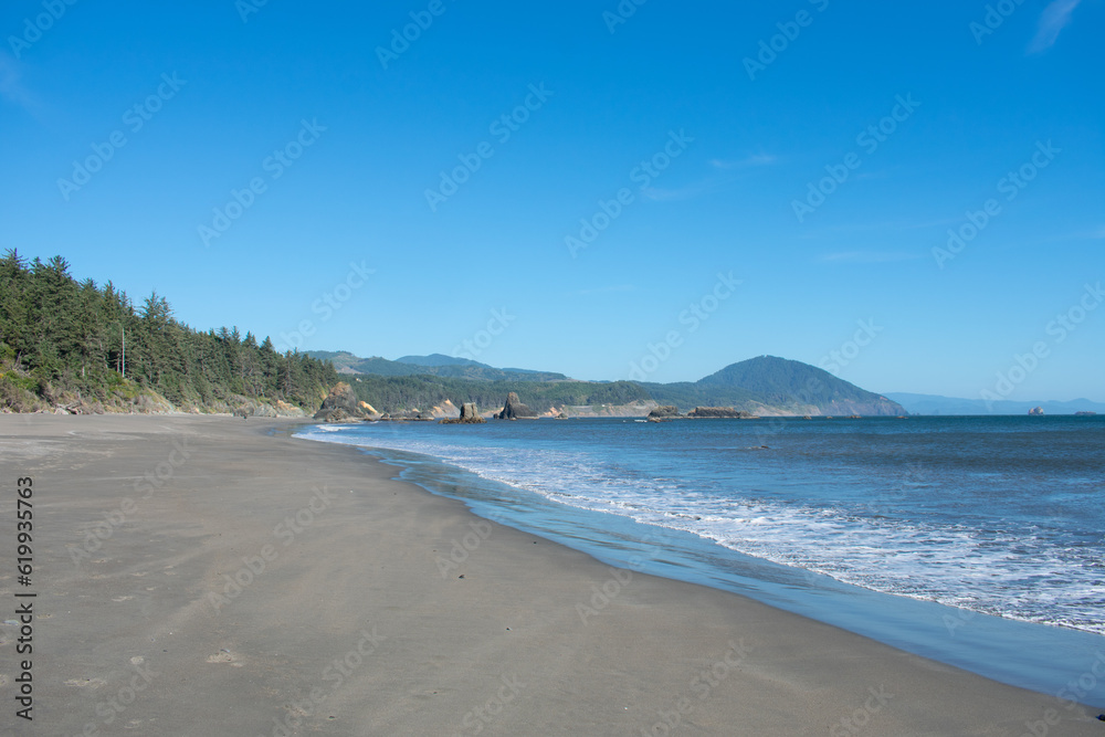 Obraz premium Oregon Coastine