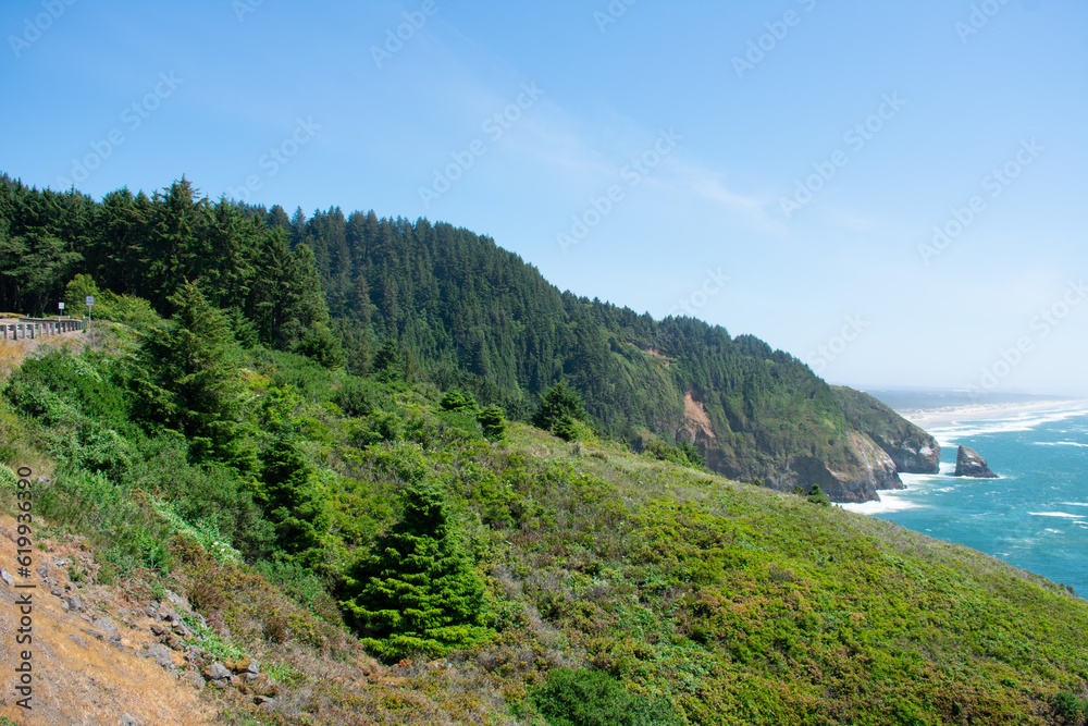 Fototapeta premium Oregon Coastine