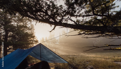 tente fabriquée avec une bâche en plastique de couleur bleu en forêt lors d'un lever de soleil photo