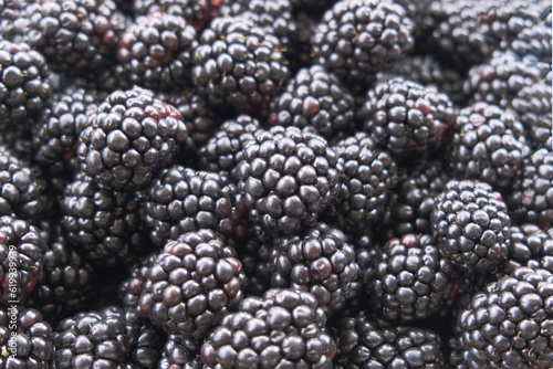 Blackberry food background texture macro photo. Design template with copy space. Fresh organic berries. Vegan, vegetarian, healthy diet concept. Farmers market, grocery store produce