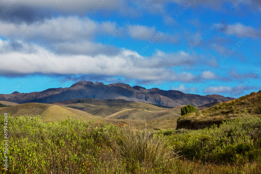 Green hills in Colombia