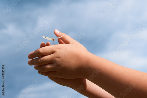 The child releases the caught white butterfly, children's hands are close-up.