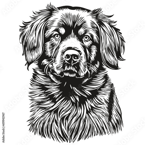 Newfoundland dog pencil hand drawing vector, outline illustration pet face logo black and white realistic breed pet