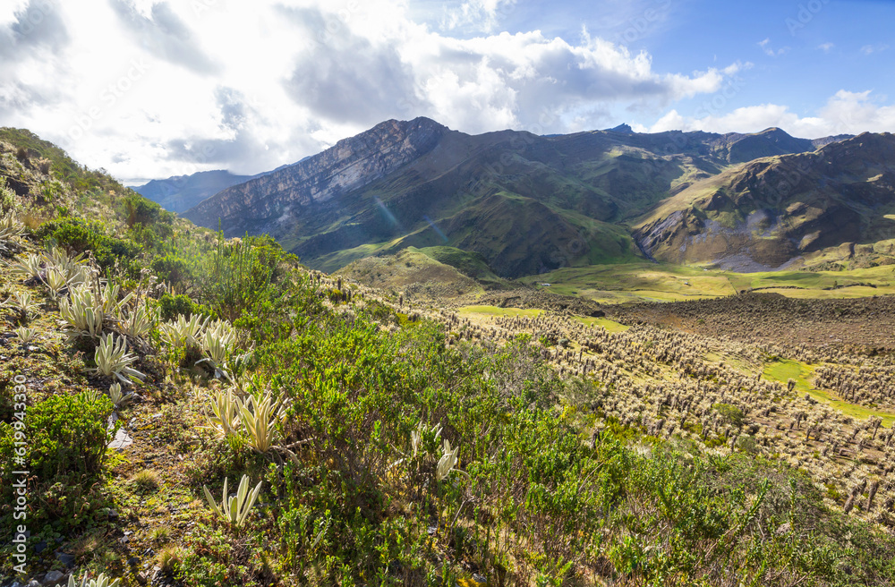 Fototapeta premium Mountains in Colombia