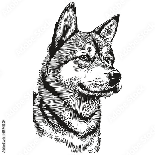 Shiba Inu dog black drawing vector, isolated face painting sketch line illustration