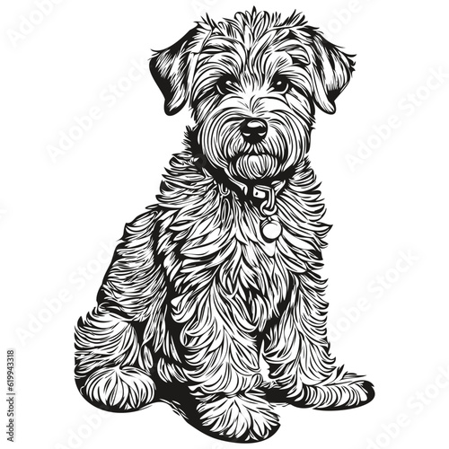 Soft Coated Wheaten Terrier dog engraved vector portrait, face cartoon vintage drawing in black and white