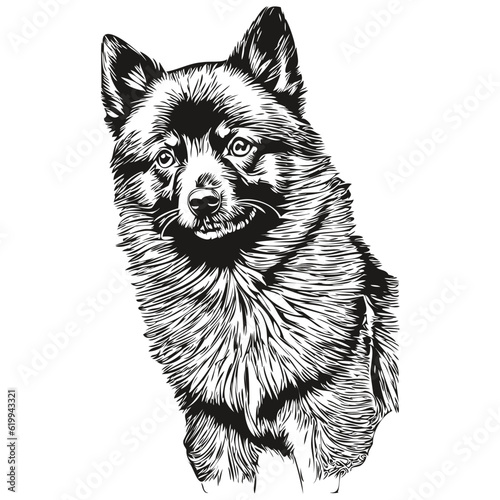 Schipperke dog hand drawn logo drawing black and white line art pets illustration realistic breed pet