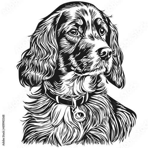 Spaniel English Cocker dog hand drawn logo drawing black and white line art pets illustration