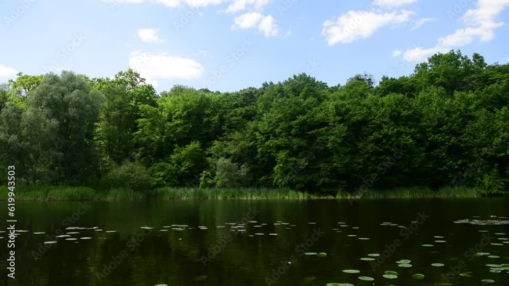 Nice summer time landscape with lake and forest in sunny cloud calm day, nature and recreation 4k video Nice summer time landscape with lake and forest in sunny cloud calm day, nature and recreation 4k video
