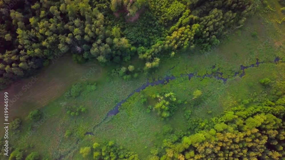 Small river in summer forest - top down aerial view. Small river in summer forest - top down aerial view.