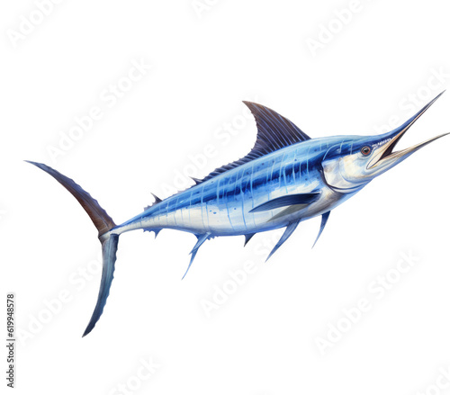 a Blue Marlin, Makaira nigricans swimming in various positions in Fishing and Aquatic-themed, photorealistic illustrations in a PNG, cutout, and isolated. Generative AI © Purple Penguin GFX