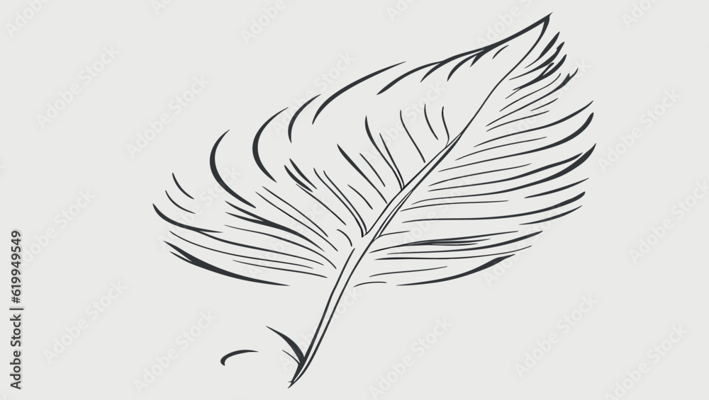 Obraz premium set of feathers