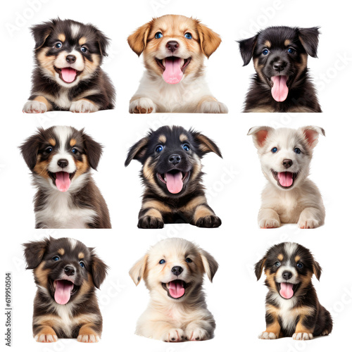 a group/set of adorable puppies of different breeds, Portraits in Pet-themed, photorealistic illustrations in a PNG, cutout, and isolated. Generative AI © Purple Penguin GFX