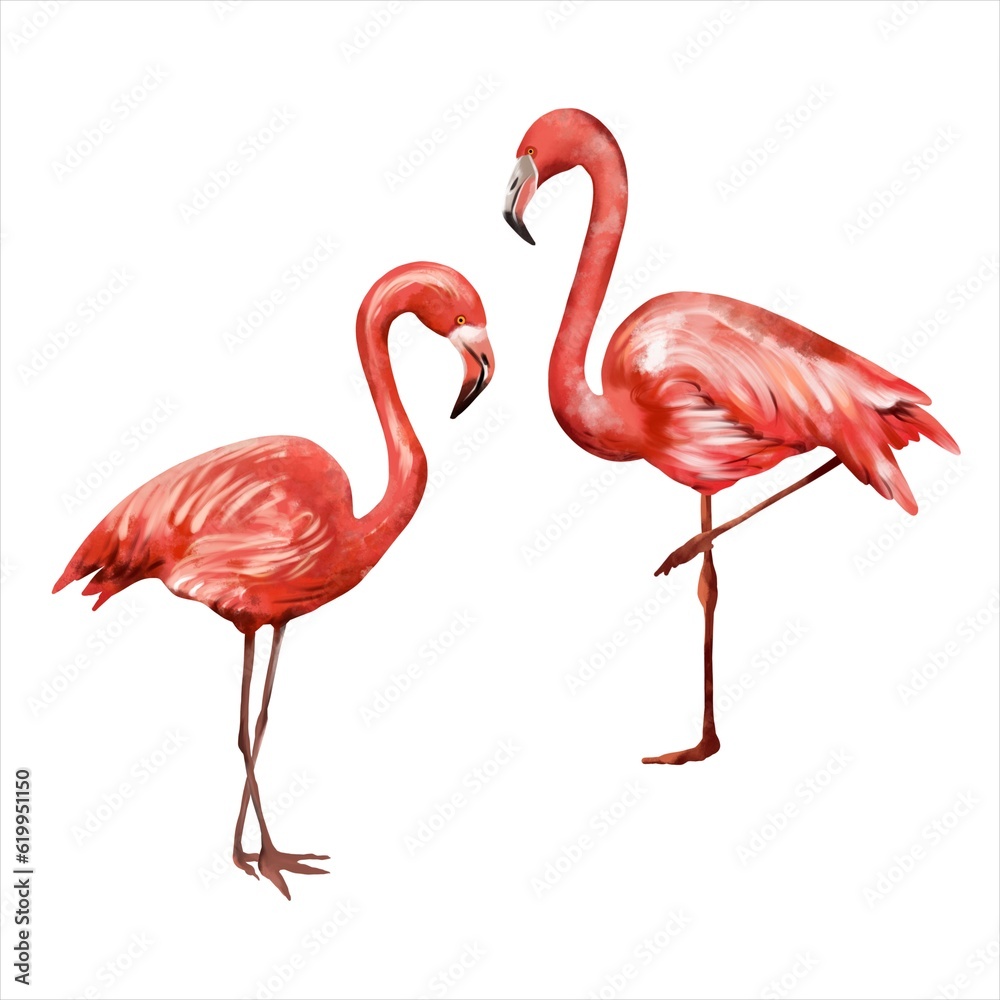 Obraz premium Two pink flamingos isolated on white background. Watercolor illustration on a summer theme. Greeting cards, wedding invitations, flyers and banners.