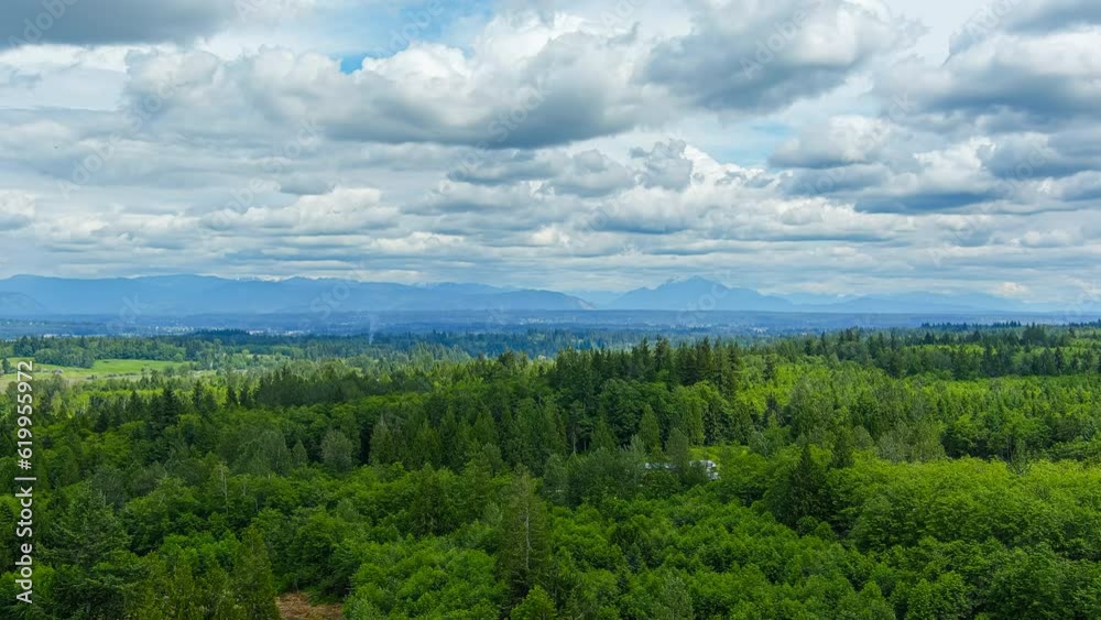 White puffy clouds in motion over a forest of evergreen trees White puffy clouds in motion over a forest of evergreen trees