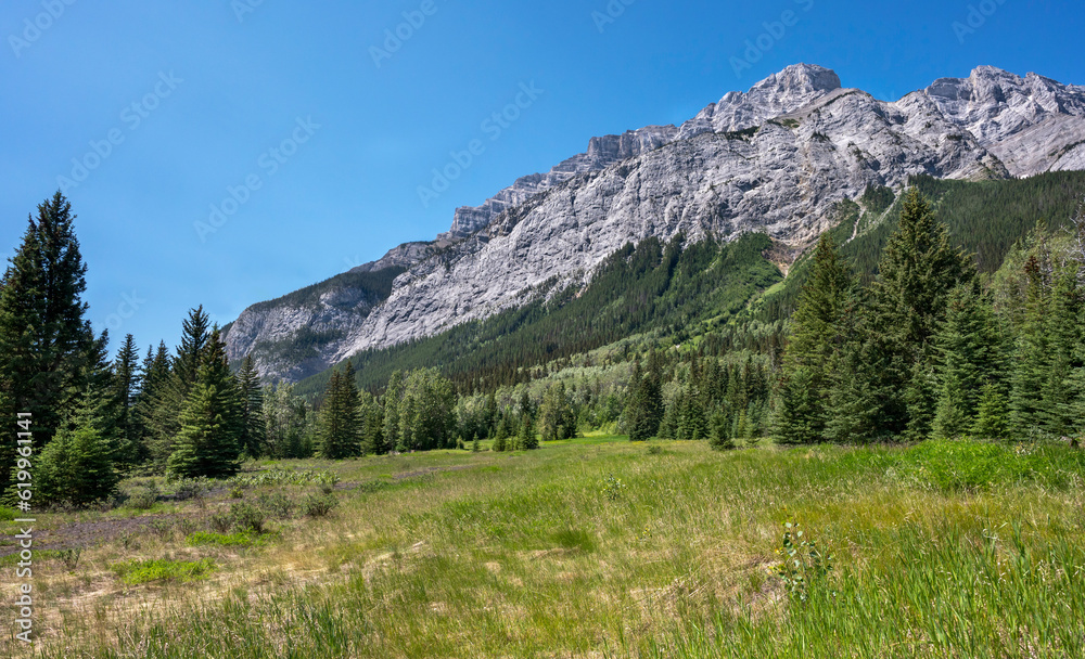 Cascade Mountain as seen from a meadow at Bankhead in Banff national Park, Alberta, Canada