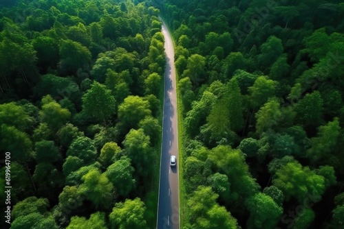 Aerial view of a road crossing a dense forest, generative ai © FrankBoston