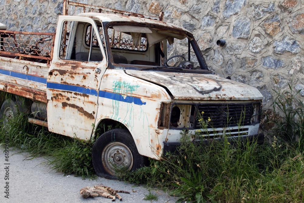 Forgotten Reflections: A Van's Weathered Journey