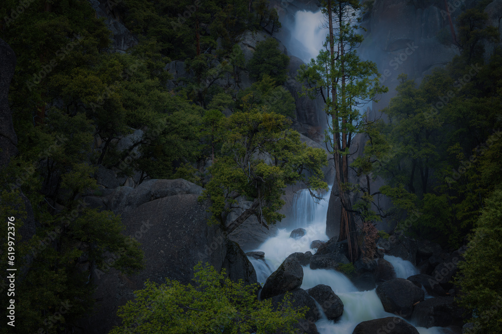 Rainy June in the Sierra Mountains