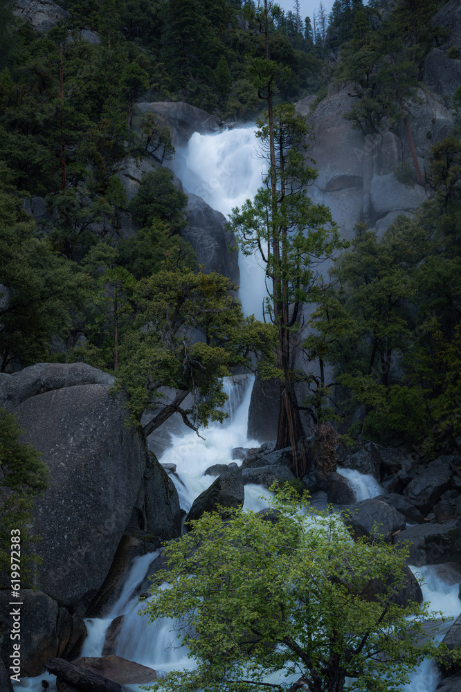 Rainy June in the Sierra Mountains